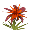 icon308.png icon308.png