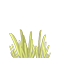 grass1.png grass1.png