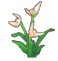 orchid.png orchid.png
