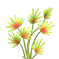 thron_grass1.png thron_grass1.png