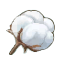 cotton.png cotton.png