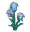 limonium_sinuatum.png limonium_sinuatum.png