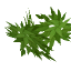 bamboo_leaves.png bamboo_leaves.png