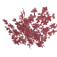 peach_leaves.png peach_leaves.png