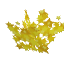 sacred_leaves.png sacred_leaves.png