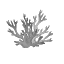 icon493.png icon493.png