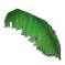 giant_coconut_leaf.png