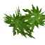 bamboo_leaves.png