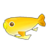 Cá Ngố Vàng Kim